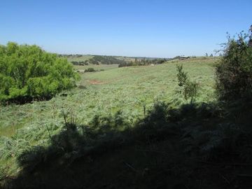 Sitio en el Convento