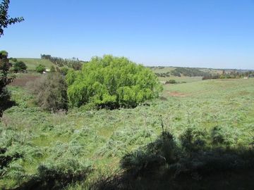 Sitio en el Convento