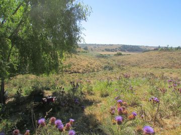 Sitio en el Convento