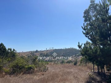Casablanca, Maravillosa parcela con arboles nativos