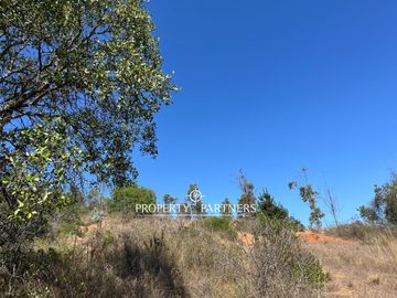 Casablanca, Maravillosa parcela con arboles nativos