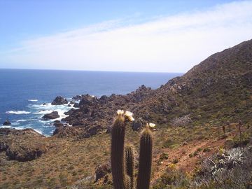 PARCELA COSTA DORADA OVALLE CUARTA REGION