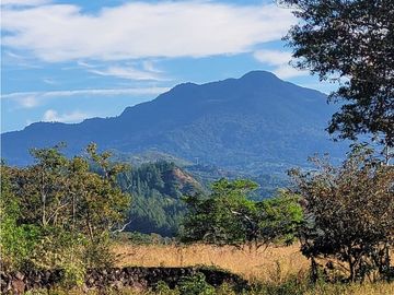 VENDO CASA VIA CALDERA
