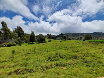 Venta de Finca en el Carmen de Viboral