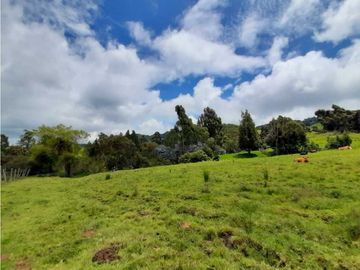 Venta de Finca en el Carmen de Viboral