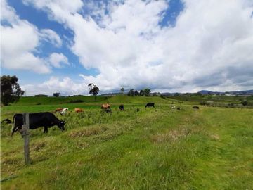 Venta de Finca en el Carmen de Viboral