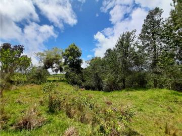 Venta de Finca en el Carmen de Viboral