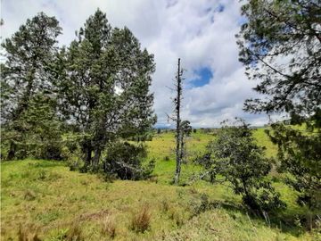 Venta de Finca en el Carmen de Viboral