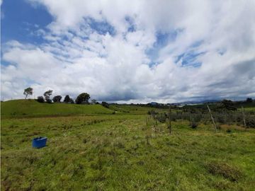 Venta de Finca en el Carmen de Viboral