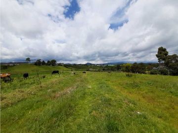 Venta de Finca en el Carmen de Viboral