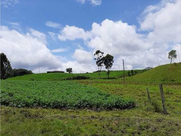 Venta de Finca en el Carmen de Viboral