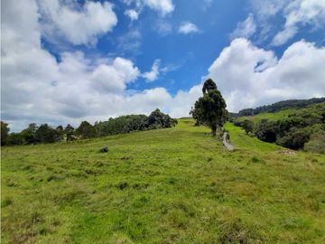 Venta de Finca en el Carmen de Viboral