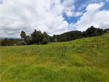 Venta de Finca en el Carmen de Viboral