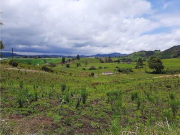 Venta de Finca en el Carmen de Viboral