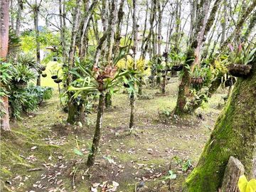 Venta de Finca Campestre en el Carmen de Viboral
