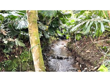 Venta de Finca Campestre en el Carmen de Viboral