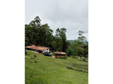 Venta de Finca  Campestre en Marinilla