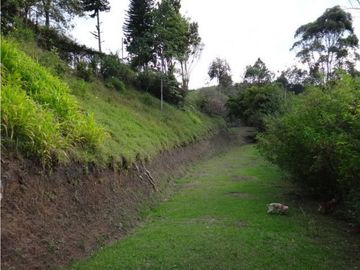 Venta de Finca Campestre  en Rionegro
