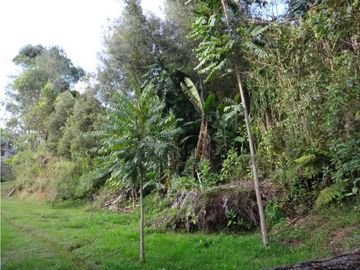 Venta de Finca Campestre  en Rionegro