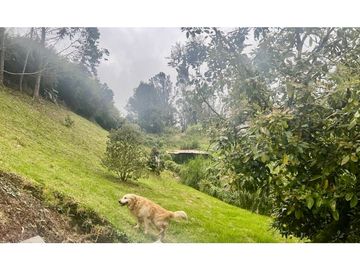 Venta de Casa Campestre en Envigado
