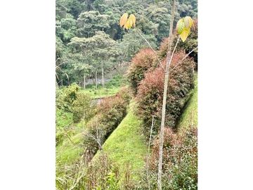 Venta de Casa Campestre en Envigado