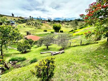 Venta de Finca en Rionegro