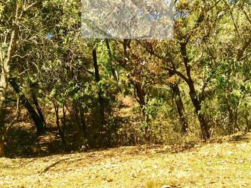 VILLA DEL CARBÓN UBICADISIMO