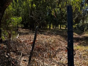 Terreno de 8.500 M2, sector El Varón, Bulnes, Ñuble