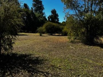 Terreno de 8.500 M2, sector El Varón, Bulnes, Ñuble