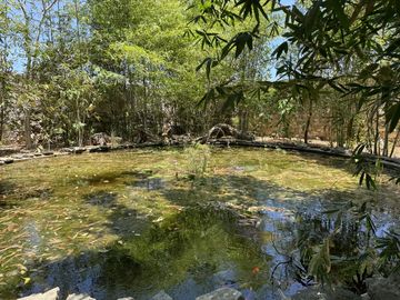 Casa de campo en venta a 25 minutos de Mérida en el norte