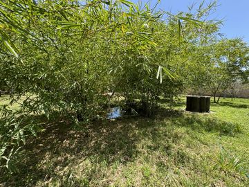 Casa de campo en venta a 25 minutos de Mérida en el norte