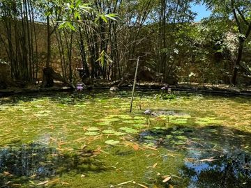 Casa de campo en venta a 25 minutos de Mérida en el norte