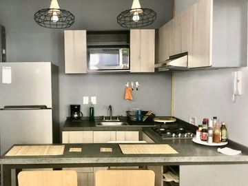 Hermoso Departamento con terraza Roma Norte