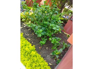 APARTAMENTO LAS MARGARITAS