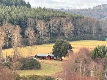 Sitio en Venta en Villa- alegre / Pedregoso / Villarrica