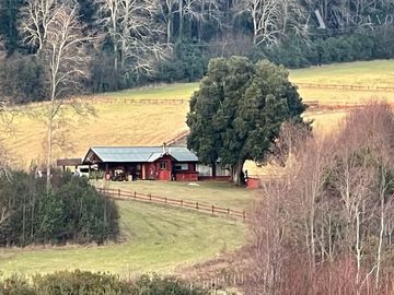 Sitio en Venta en Villa- alegre / Pedregoso / Villarrica