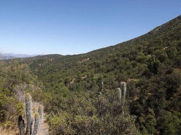 Parcela en Venta en CONDOMINIO LA AURORA, CURACAVÍ