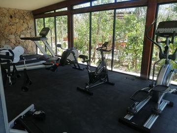 Aldea Savia: Descubre tu santuario privado en Tulum, respetando a la Naturaleza