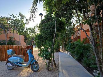 Aldea Savia: Descubre tu santuario privado en Tulum