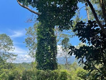 Residencia en Xalapa