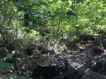 Terreno en Venta  en Tomatlán, Jalisco
