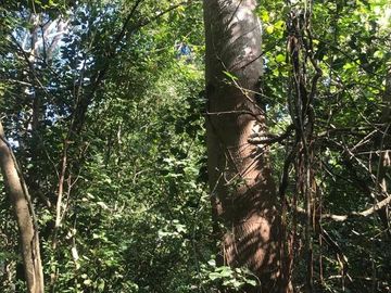 Terreno en Venta  en Tomatlán, Jalisco