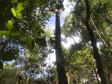Terreno en Venta  en Tomatlán, Jalisco
