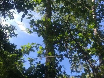 Terreno en Venta  en Tomatlán, Jalisco