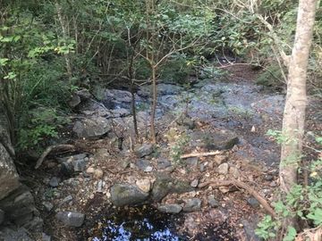 Terreno en Venta en Tomatlán, Jalisco