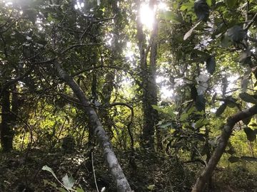Terreno en Venta en Tomatlán, Jalisco