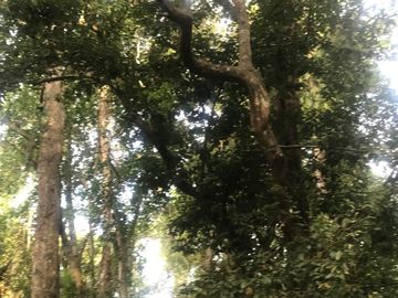 Terreno en Venta en Tomatlán, Jalisco