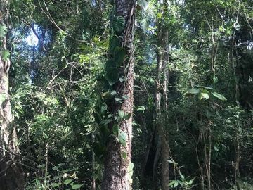 Terreno en Venta en Tomatlán, Jalisco