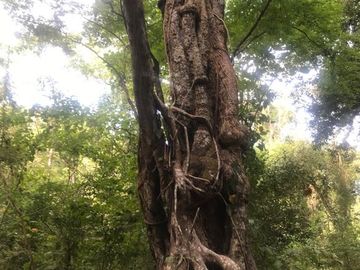 Terreno en Venta en Tomatlán, Jalisco
