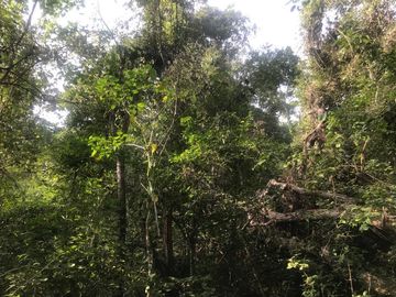 Terreno en Venta en Tomatlán, Jalisco